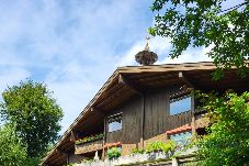 Ferienwohnung in Fieberbrunn - Apartment auf dem Schlossberg – Bergblick & Ruhe 